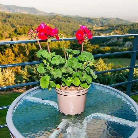 Villa Porgio Mountain View *