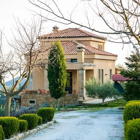 Porgio Mountain View
