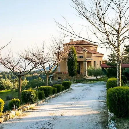 Porgio Mountain View